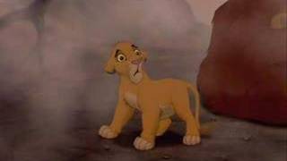 Missing  - The Lion King