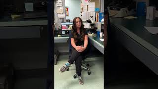 What Happens During a Pet Dental? | Kellsey Explains
