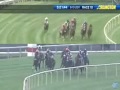 2011 Arlington Million