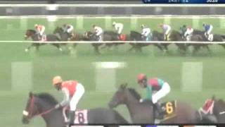 2011 Arlington Million