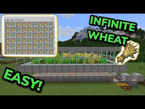 BEST 1.20 AUTOMATIC WHEAT FARM TUTORIAL in Minecraft Bedrock - YouTube