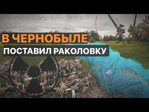 Поставил раколовку в Чернобыле