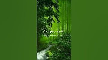 صوت مريح للقلب ❤️ #قران_كريم #تلاوة_هادئة #اللهم_صل_وسلم_على_نبينا_محمد