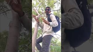 Russian birds Wild Bear Grylls INDIAN