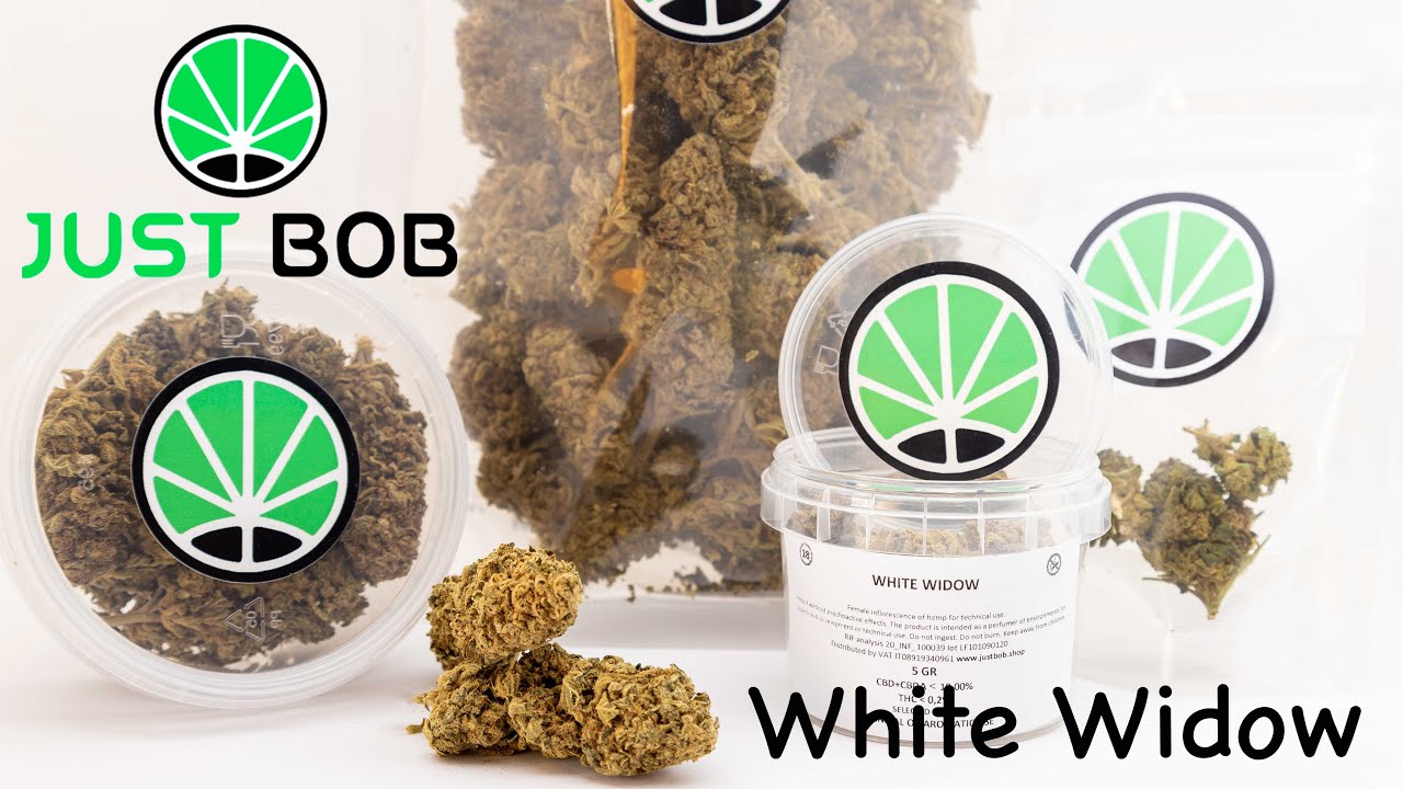 White Widow CBD - Legal CBD Cannabis - JustBob ENG