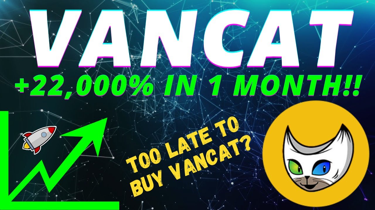 Vancat Token Price Prediction 2021 Vancat Gains 22 000 In 1 Month Youtube
