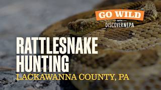 GO WILD with DiscoverNEPA: Rattlesnake Hunting | Lackawanna County, PA