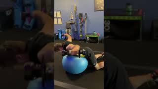 Famous Prone Ball DB Reverse Flys Wealth
