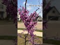 Hello spring