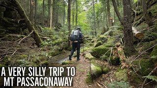 A Very Silly Overnight Trip Over Mt Passaconaway and Square Ledge | Hiking the White Mountains of NH