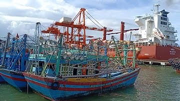 Cảng cá quy nhơn