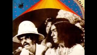 VÔ BATÊ PÁ TU - BAIANO E OS NOVOS CAETANOS