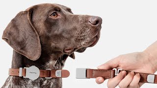 Now on Kickstarter: Fetchly Instant-Lock Leash