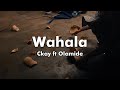 @ckay_yo  ft @OlamideBaddosneh  - Wahala (Lyrics video)