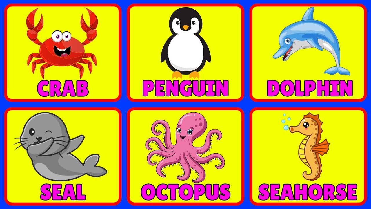 learn-sea-animals-names-for-kids-water-animals-names