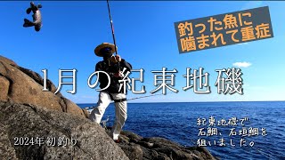 三重県熊野へ石鯛釣りに行ってきました。2024年 初釣りです👍#fishing