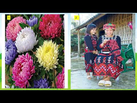 Video MĨ THUẬT KHỐI 4 - YouTube