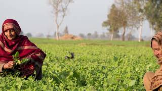 Pakistan Poverty Alleviation Program (PPAF) - The 'Fostering Linkages, Realizing Agri Potential' screenshot 4