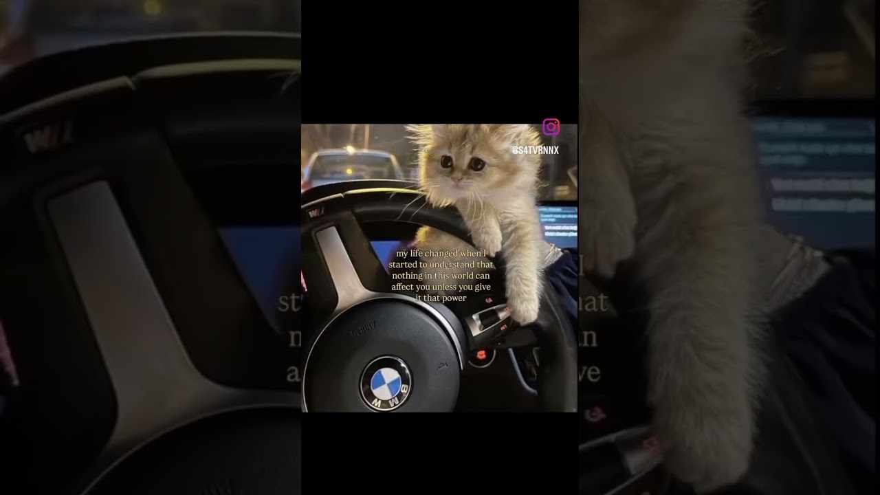 What you give power to, has power overyou❤️ 