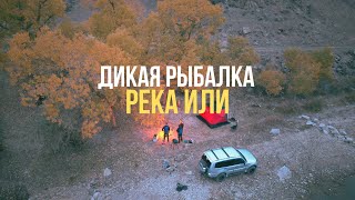 видео: РЕКА ИЛИ - ЖАРЕННАЯ ФОРЕЛЬ И СТЕЙКИ ИЗ МРАМОРНОГО МЯСА - А СУДАК СМОТРИТ ИЗ ВОДЫ картинка: РЕКА ИЛИ - ЖАРЕННАЯ ФОРЕЛЬ И СТЕЙКИ ИЗ МРАМОРНОГО МЯСА - А СУДАК СМОТРИТ ИЗ ВОДЫ