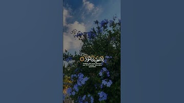 سورة الكوثر || القرآن الكريم #عامرالسعيدي