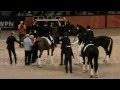 KWPN keur &amp; pferent stallion Negro ( Ferro x Variant ) - 3 Feb 2012 @ &#39;s-Hertogenbosch