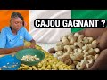 COMMENT LA COTE D'IVOIRE GAGNE LA BATAILLE MONDIALE DU CAJOU?