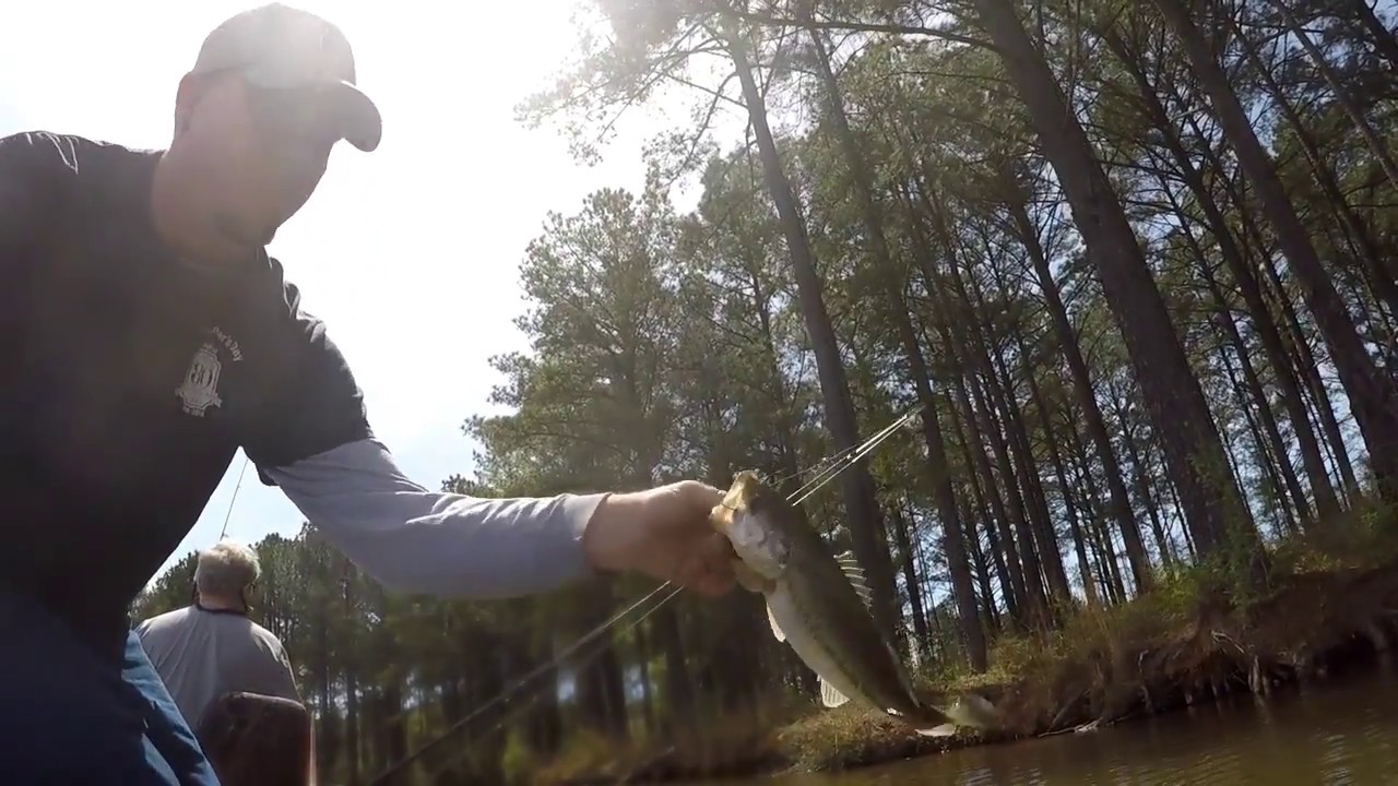 line creek( lake Mcintosh) Ptc Ga. 4/1/2018 bassfishing on Easter