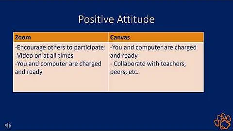 Anson High School PBIS Remote Learning Matrix