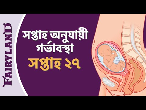 ভিডিও: গর্ভাবস্থার 27 সপ্তাহ: সংবেদনগুলি, ভ্রূণের বিকাশ