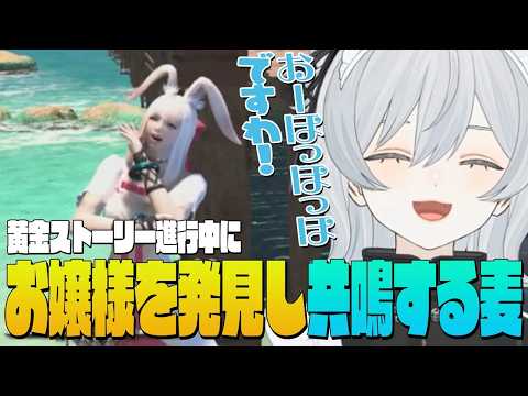 【FF14】黄金ネタバレ⚠️｜街で高笑いする野良のお嬢様を発見し思わず共鳴する麦かもです！- FINAL FANTASY XIV｜© SQUARE ENIX【猫麦とろろ切り抜き動画】