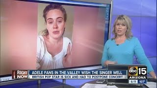 Adele postpones Phoenix concert due to cold