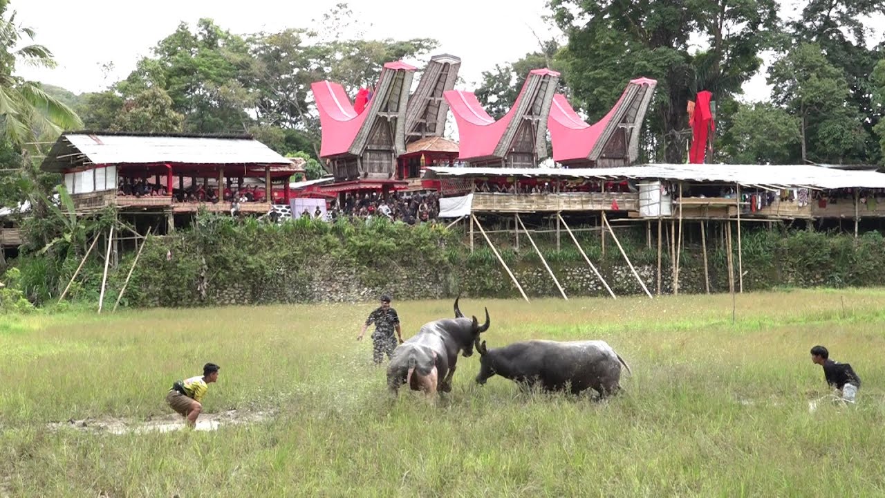 PART 3 Pemakaman Almh  MARIA BOKKO' (Nenek Nata) dan Alm. HERIANUS HANGKI Di Mandetek