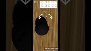 Bowling Fisica screenshot 2