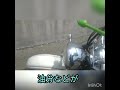 ドラッグスターDSC400にメッキングしてみた