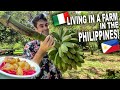 Italian Living in a Farm in the Philippines! How to make Saging Con Yelo!