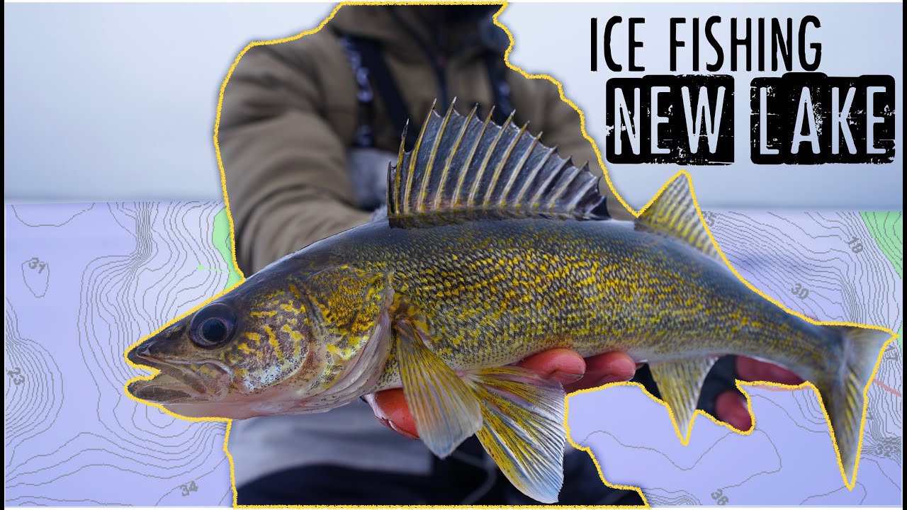 Guide to Ice Fishing Walleyes on a NEW LAKE! 