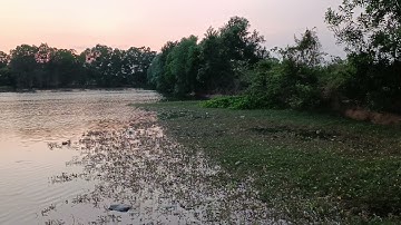 Câu cá lóc quá nhanh quá nguy hiểm