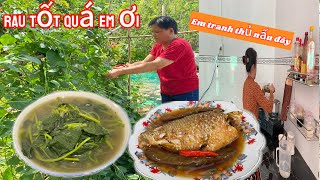 Hôm nay em đi công việc về trễ nấu ăn hai món đơn giản món cá he nghệ kho me và canh rau mồng tơi