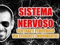 Sistema Nervoso Central, Periférico e a via eferente (movimento) - Anatomia Humana - VídeoAula 010