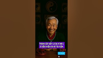 Trong phong thuỷ loại cây này chiêu tài lộc và đem lại rất nhiều may mắn cho gia chủ