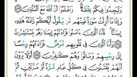 ختمة تلاوة لمصحف التجويد بصوت القارئ محمد حبش الصفحة رقم 207
