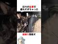 居眠りしちゃう警察犬
