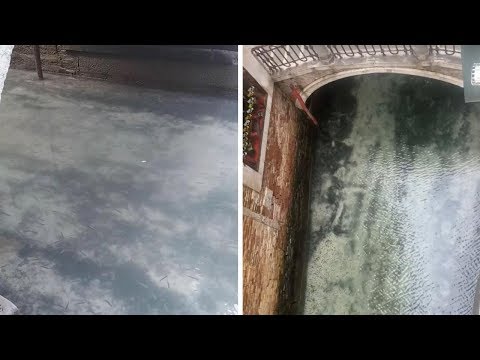 clear-waters-in-venice-canals-during-quarantine