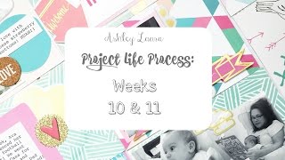 Project Life Process: Week 10 &11