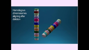 CHROMOSOMAL CHANGES AND SPECIATION