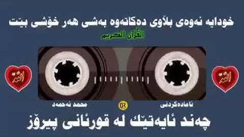 حالات واتس اب تلاوة خاشعة🎧 القارئ ملا نوزاد الکردي💛