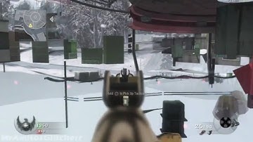 *NEW* Out Of Array Black Ops Glitch!