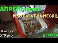 Инкассация третьей точки / Продажа жвачек и игрушек / Пассивный доход / дополнительный заработок