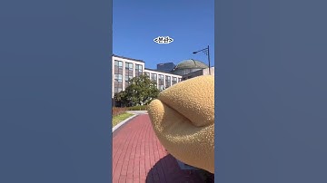 호반우와 함께 보는 경북대학교 캠퍼스🌿